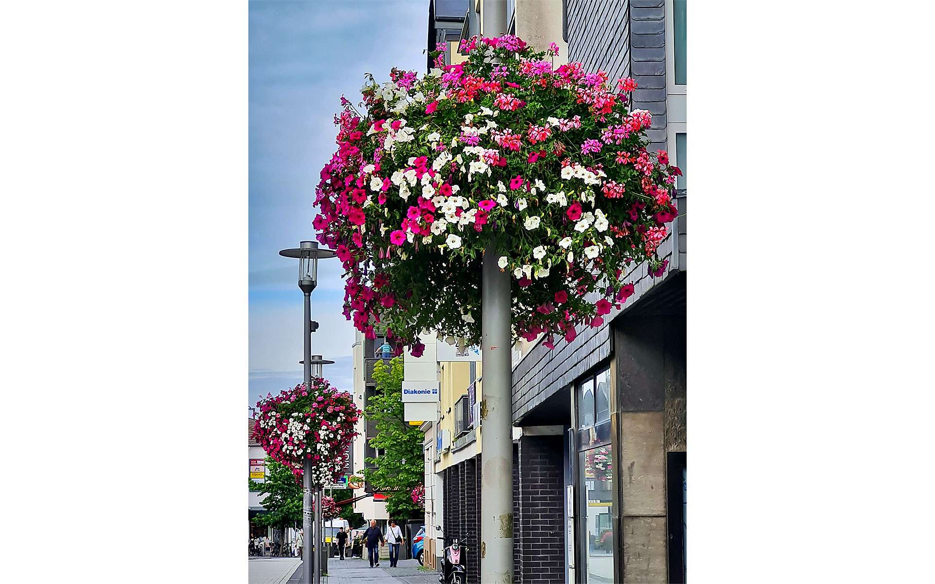 Blumenampel an einer Laterne in der Fußgängerzone