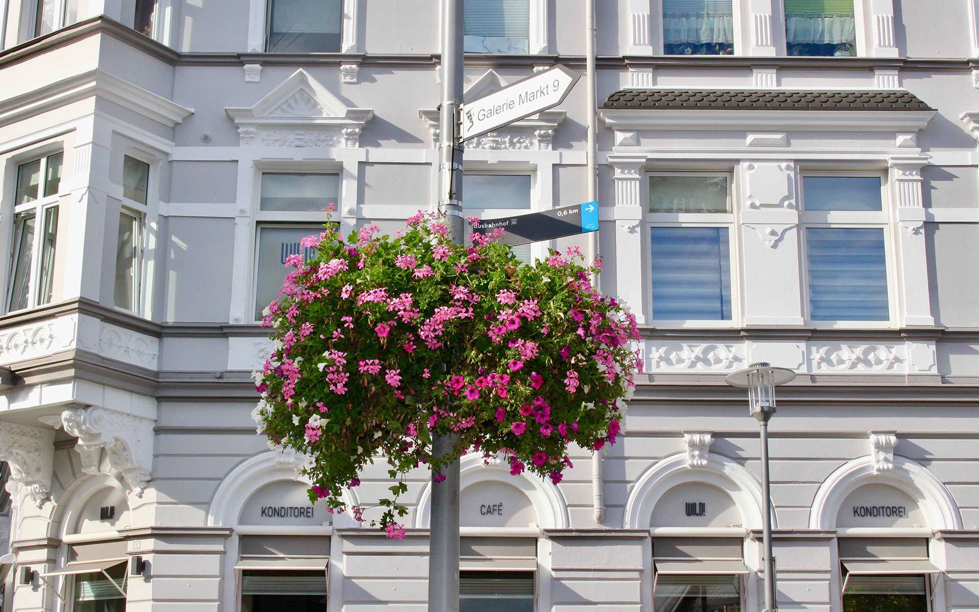 Blumenampel vor einem weißen Altbau