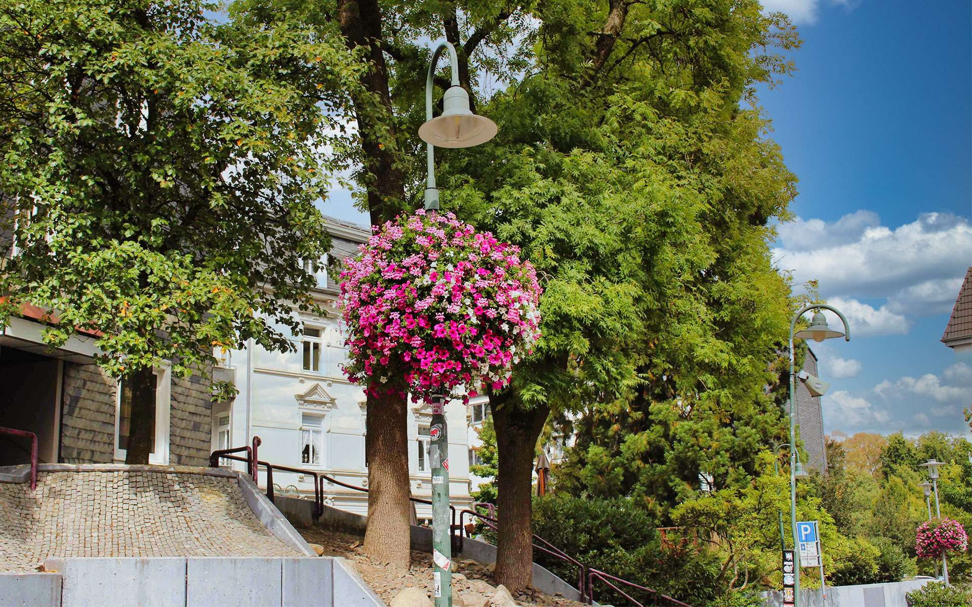 Blumenampel an einer Laterne zwischen Bäumen