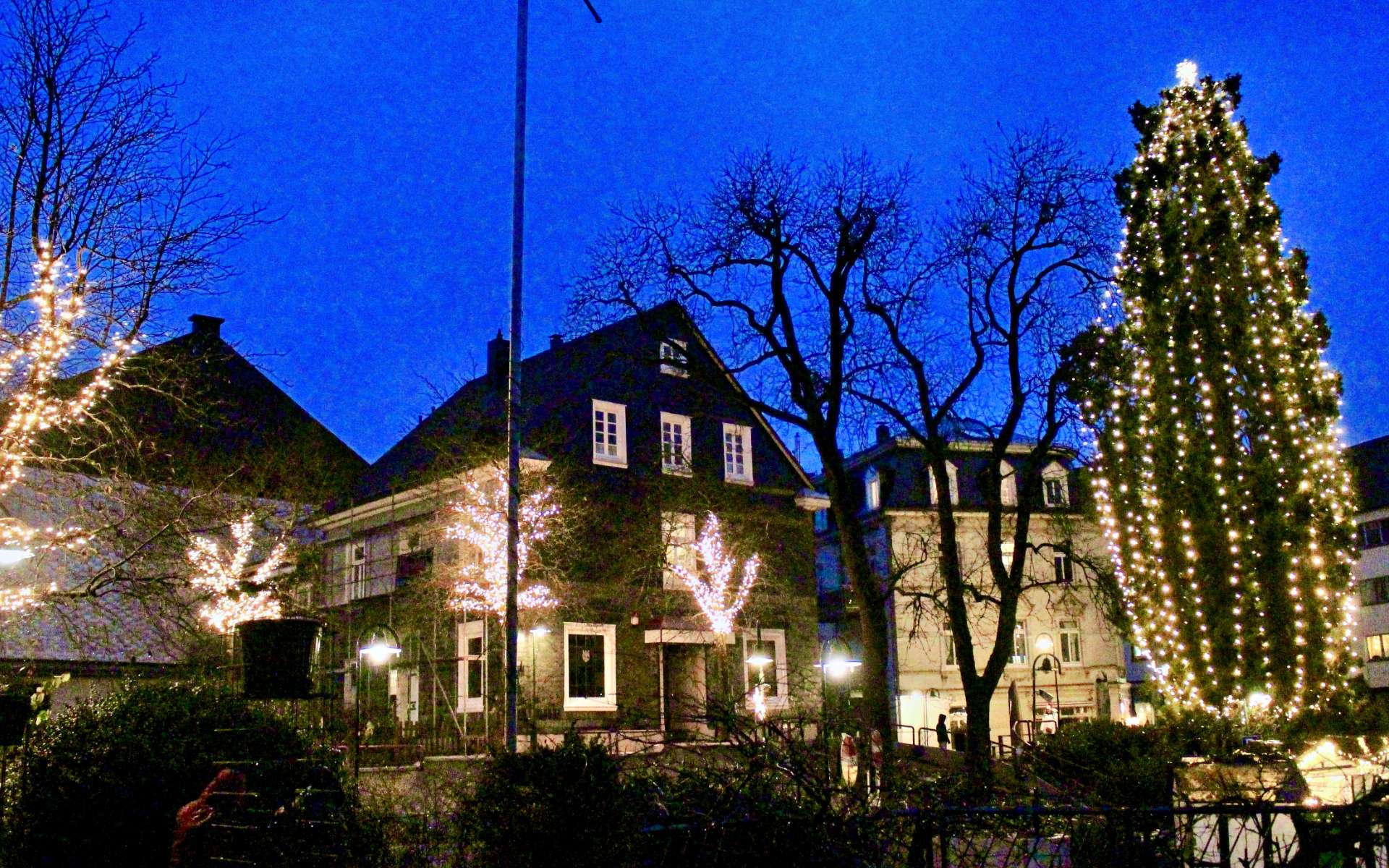 Beleuchteter Weihnachtsbaum und Lichterbäume in der Abenddämmerung