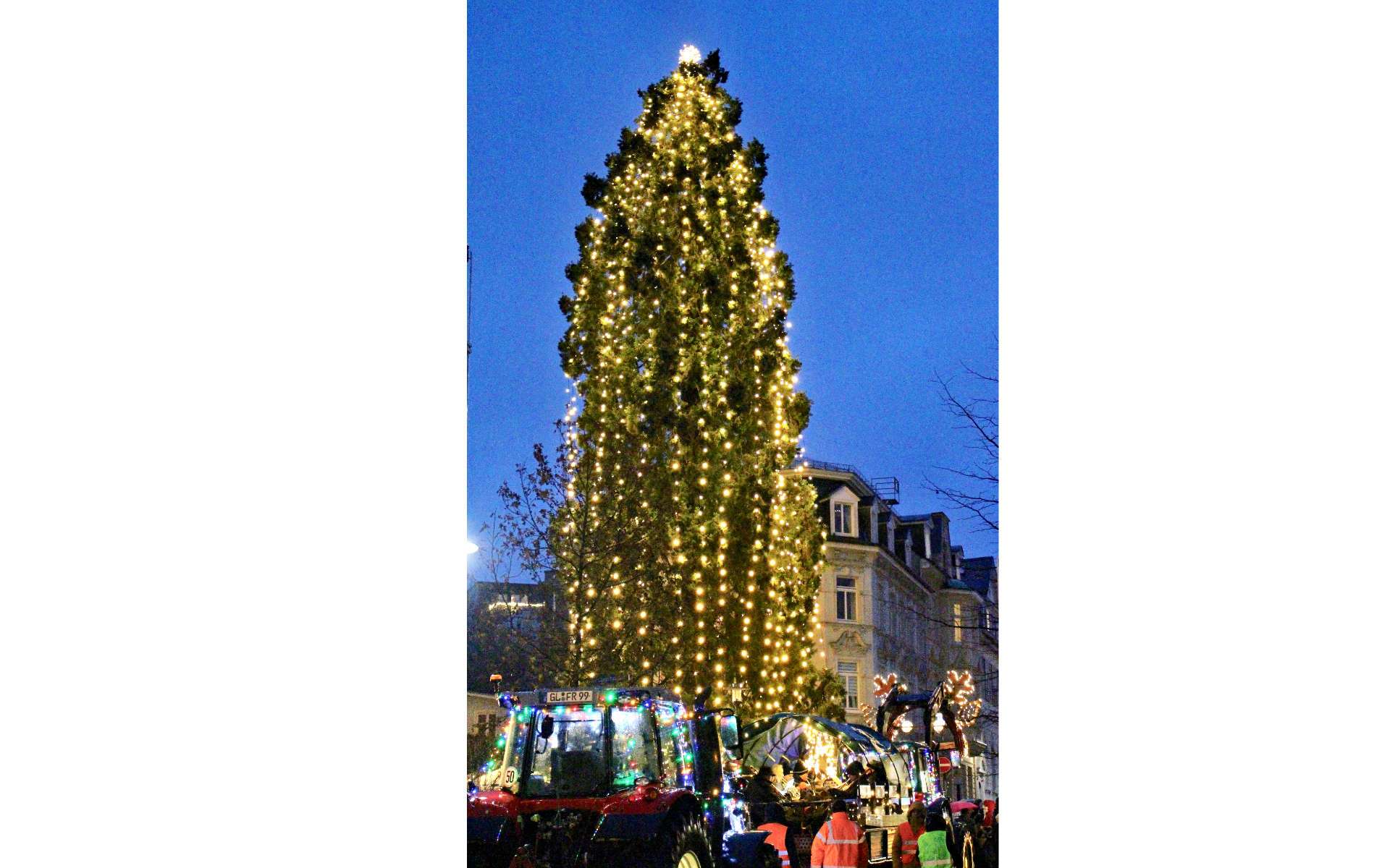 Beleuchteter Weihnachtsbaum in der Innenstadt am Abend