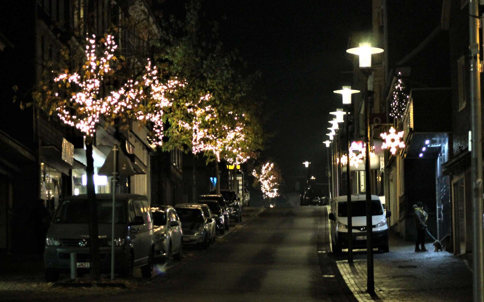 Beleuchtete Bäume und Lichtsterne in einer Straße bei Nacht